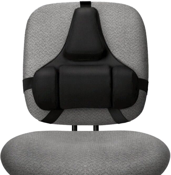 Professional Series Back Support, Black (8037601)