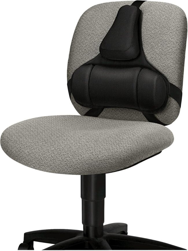 Professional Series Back Support, Black (8037601) - Image 2
